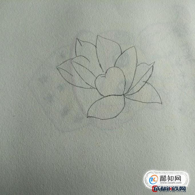 在右边未封口的荷花瓣上方在接连着画两瓣花瓣,要以桃心为中心画.