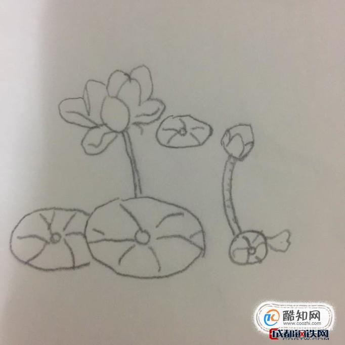 荷花池简笔画