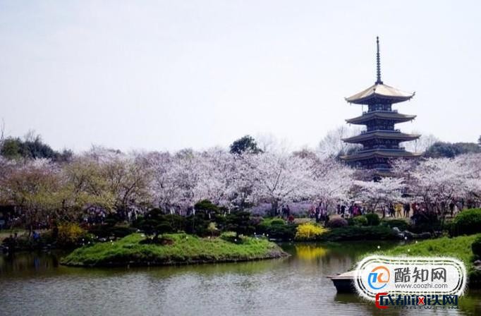 武汉东湖磨山景区游玩攻略