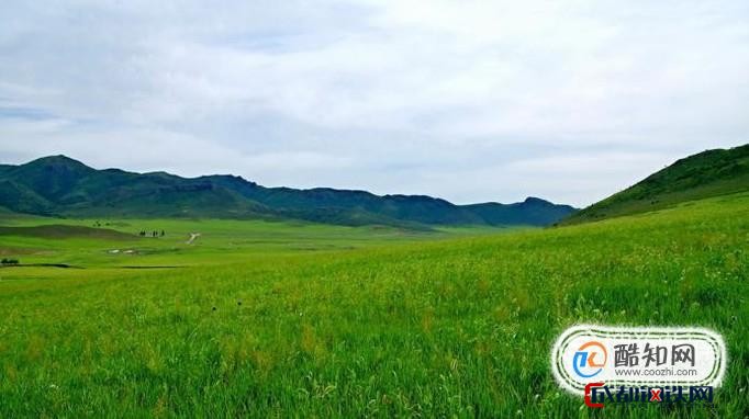 扎鲁特山地草原攻略-钢百科