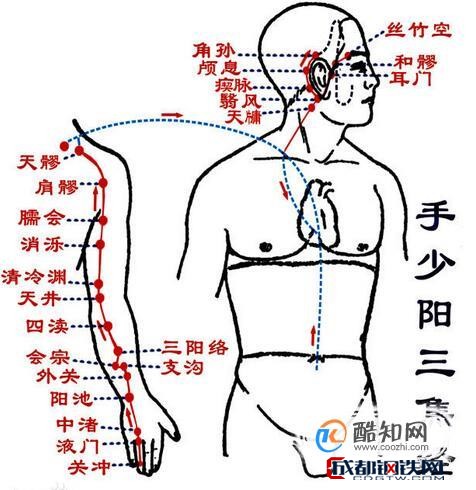 全身經絡圖解-鋼百科