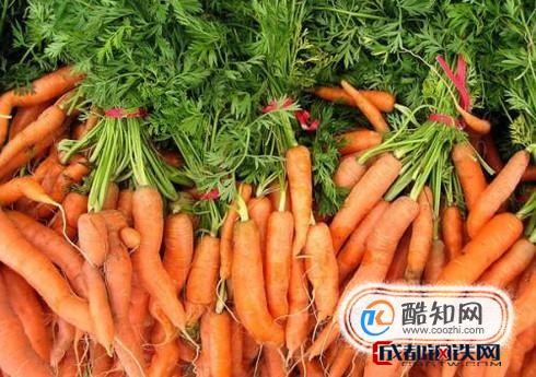 胡萝卜的功效