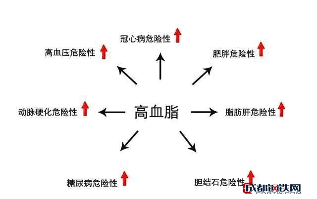 血脂高如何调理怎么有效降低高血脂