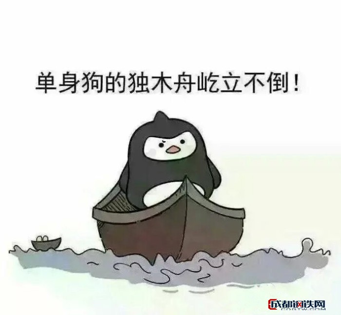 母胎solo是什么意思