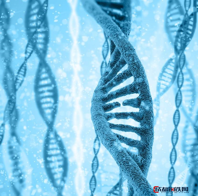 在此過程中,轉運rna(transfer rna,trna)是攜帶與三聯