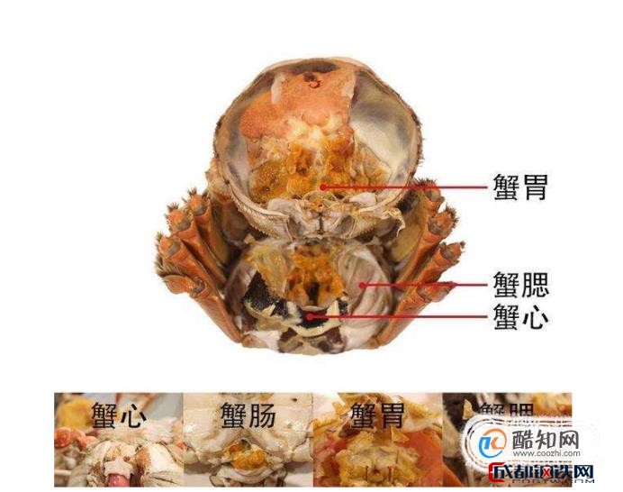 蟹钳的吃法图解图片