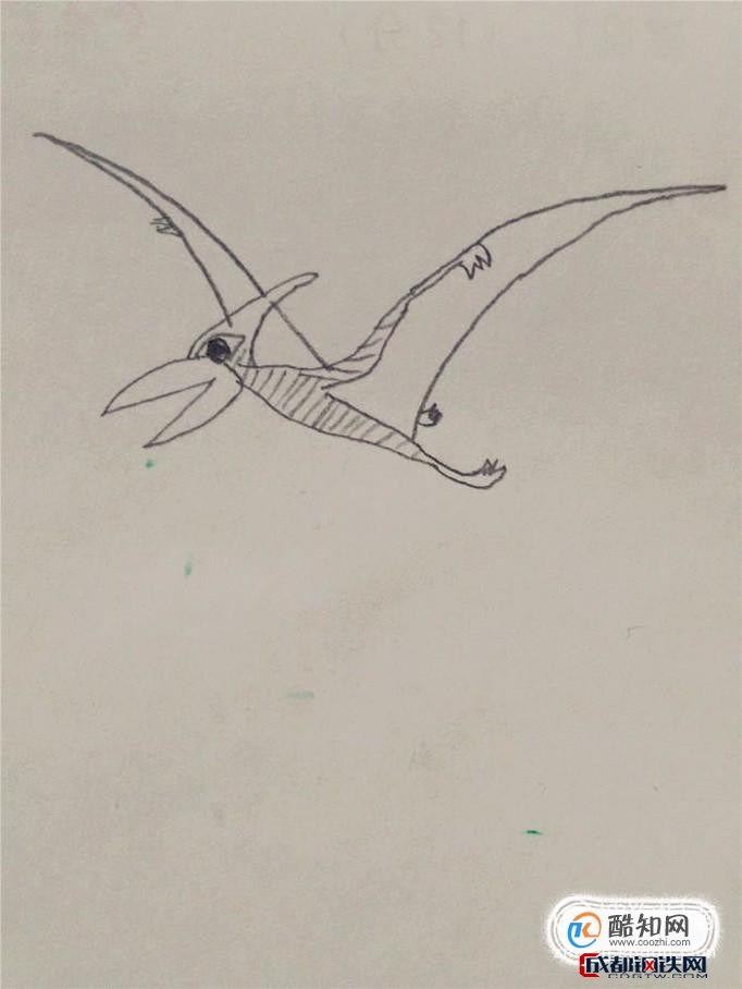 翼龙怎么画简单