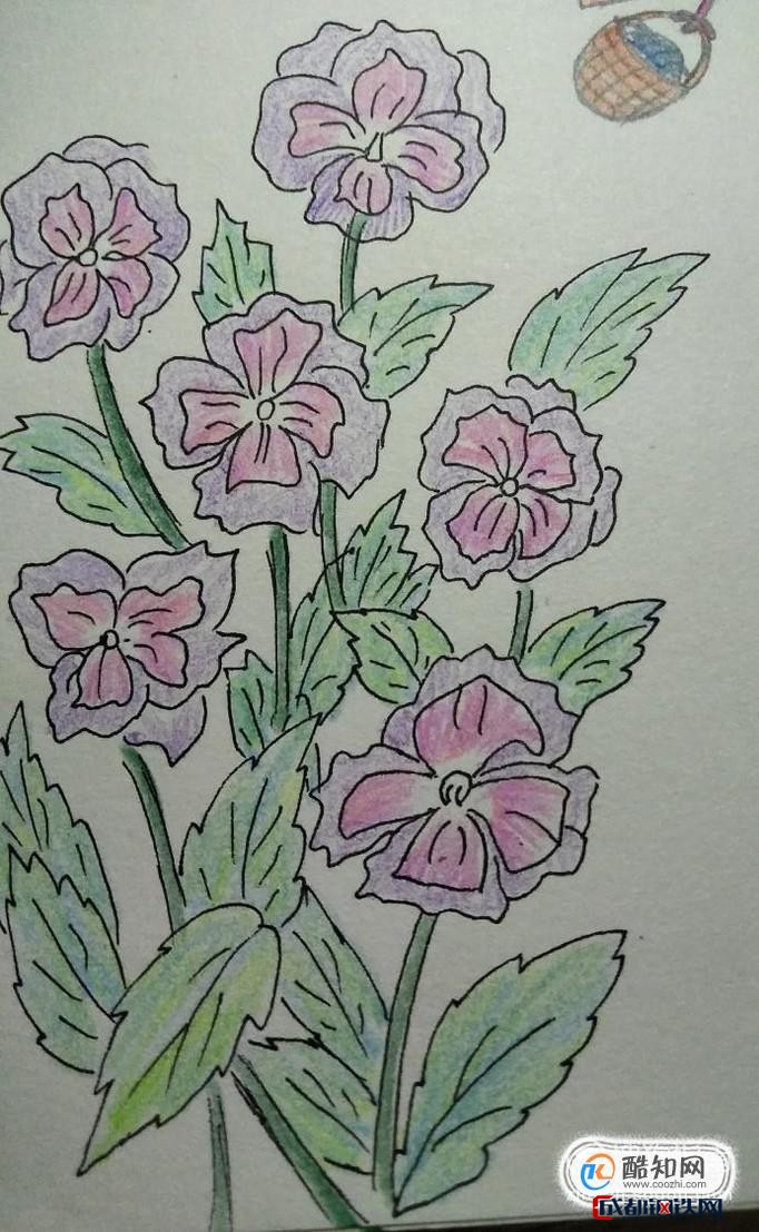 简笔画四紫苔的画法
