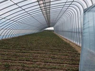 绥化 汽车大梁C型钢温室工程图2