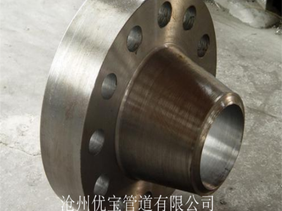 锻制法兰 锻制法兰厂家 锻制法兰价格 锻制法兰定制 现货供应 可定制支持安装图2