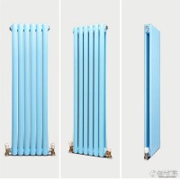 天津蓟北 钢制椭圆管柱型散热器 钢制扁圆管双搭散热器 GZ2-300-1.0