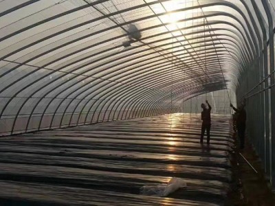 河南椭圆管 种植棚养殖棚图3