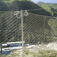 贵州边坡防护网 环形边坡防护网 边坡防护网批发 地质边坡防护网