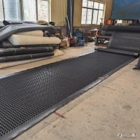 威海排水板 塑料凹凸排水板 车库排水板 隧道排水板 厂家供应 排水板