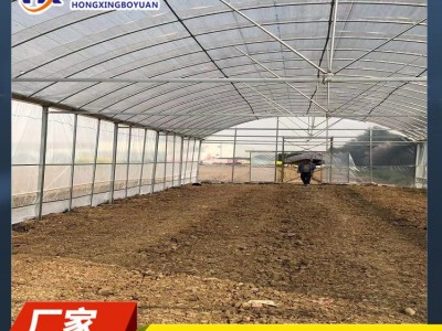 大棚管生产 大棚扁管 休闲大棚 大棚钢管图3