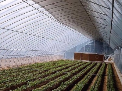 贵州 扁管大棚骨架 大棚管厂家 盈浩大棚管加工图2