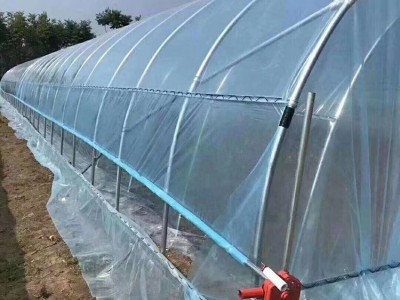 单体大棚管 盐城扁管大棚骨架 建设大棚图1