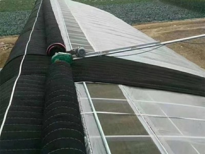 单体大棚管 盐城扁管大棚骨架 建设大棚图2