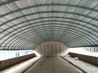 养殖大棚管 专业养殖大棚 大棚扁管 大棚温室报价图3