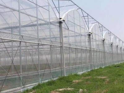恒浩钢管 农业大棚骨架 扁管大棚钢架 温室大棚价格图2