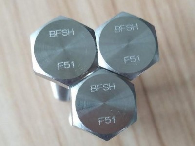 高强度耐腐蚀双相不锈钢F51螺栓图1