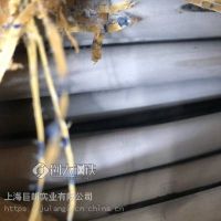 巨朗精線冷鐓SUS430不銹鐵線材X6Cr17馬氏體盤(pán)條1.4016草酸精抽線材