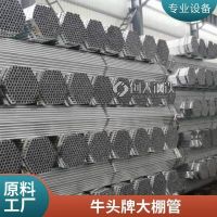 1.2*2.0镀锌大棚管 1.2寸*2.0镀锌大棚管直销 镀锌大棚管销售处