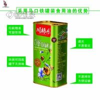 1L亞麻籽食用油馬口鐵罐菜籽油鐵罐花生油鐵罐