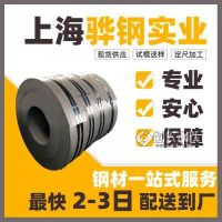 GB/T 20887.1-2017 国标HR960F 高屈服强度钢力学性能 横切纵剪 定尺加工