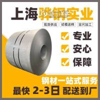 GS 93005 标准 S315MC 汽车钢 力学性能 横切纵剪 定尺加工