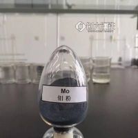 哪里有卖金属钼粉 金属钼粉99.95%的批发价 金属钼粉99.95%