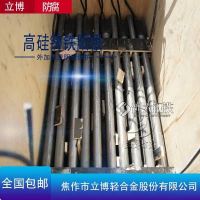 立博 高硅铸铁阳极50*1500 管道电流阴极保护多规格带电缆深井阳极