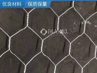 延展性好镀锌石笼网 水利河道治理固滨笼 支持定制图2