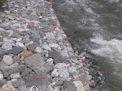 河道治理景观绿化石笼网 河道防护铅丝网箱 规格全图1