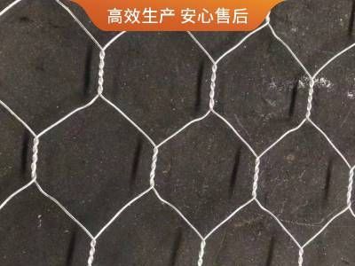 热镀锌格宾石笼网箱 边坡防护防汛固滨笼 支持定制图1
