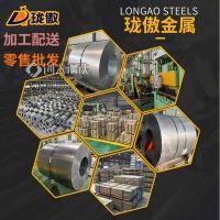 NES M2027 SP789日产汽车钢标准锌铁合金材料