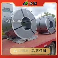 NES M2027 SP783日产汽车钢标准锌铁合金材料