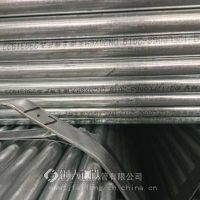 20天津飞龙牛头牌热镀锌管20*1.6牛头牌热镀锌管