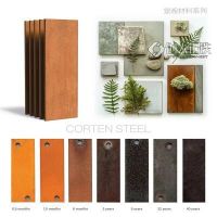 Corten Steel考登鋼09CuPCrNi-A在園林景觀中的應(yīng)用的銹鋼板